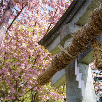 鯖江市の諏訪神社
