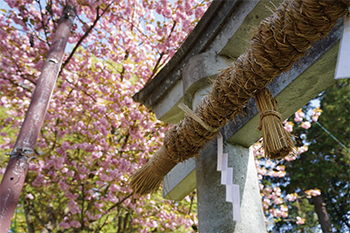 鯖江市の諏訪神社